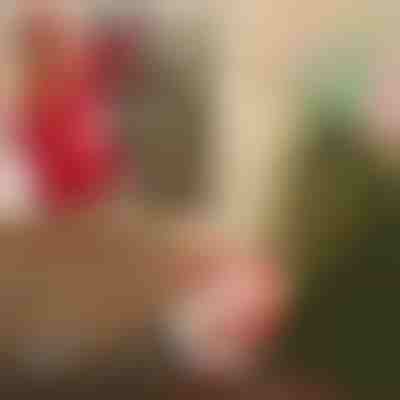 Weihnachtsmann mit Fallschirm | SANTASWING