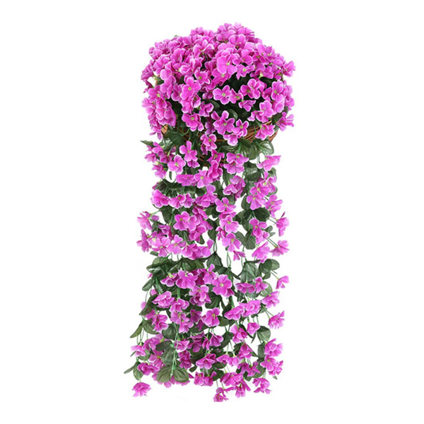 HANGROSE