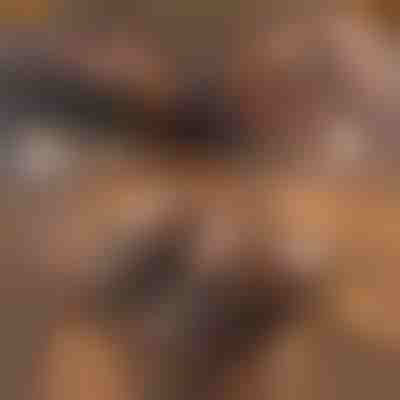 Thermopantoffeln aus leder | NOBLEFEET