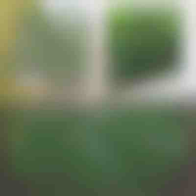 Dekorativer und praktischer Zaun für Terrasse und Garten | GREENFENCE